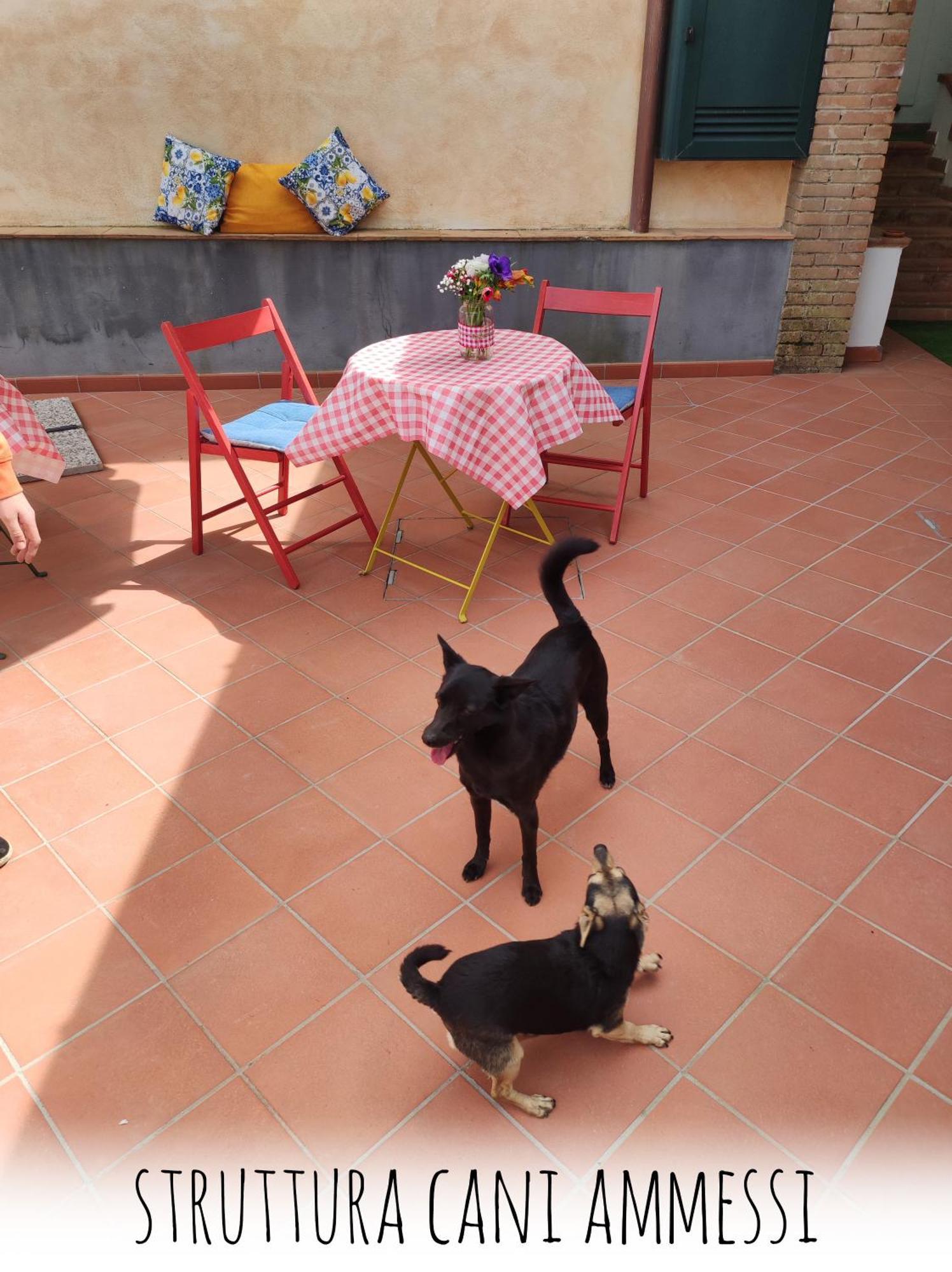Casa Fasano Amalfi Coast Guest House Vietri Ngoại thất bức ảnh